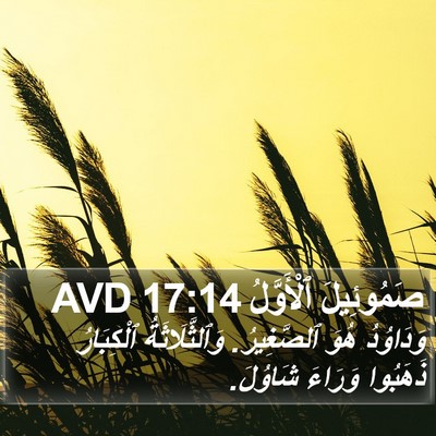 صَمُوئِيلَ ٱلْأَوَّلُ 17:14 AVD Bible Verse Image