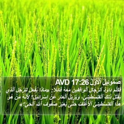صَمُوئِيلَ ٱلْأَوَّلُ 17:26 AVD Bible Verse Image