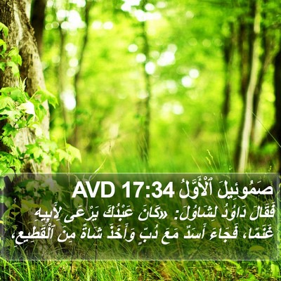 صَمُوئِيلَ ٱلْأَوَّلُ 17:34 AVD Bible Verse Image