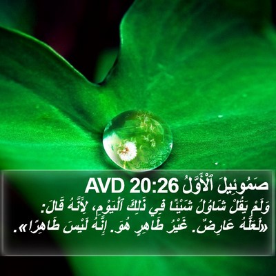 صَمُوئِيلَ ٱلْأَوَّلُ 20:26 AVD Bible Verse Image