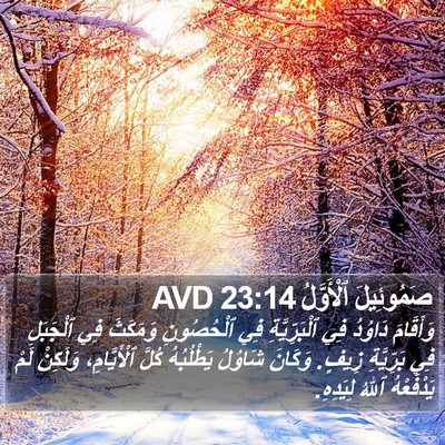 صَمُوئِيلَ ٱلْأَوَّلُ 23:14 AVD Bible Verse Image