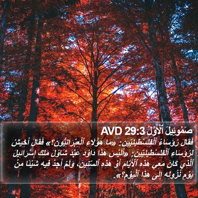 صَمُوئِيلَ ٱلْأَوَّلُ 29:3 AVD Bible Verse Image