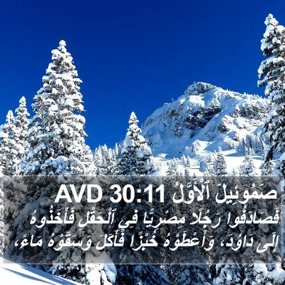 صَمُوئِيلَ ٱلْأَوَّلُ 30:11 AVD Bible Verse Image