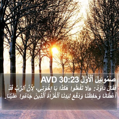 صَمُوئِيلَ ٱلْأَوَّلُ 30:23 AVD Bible Verse Image