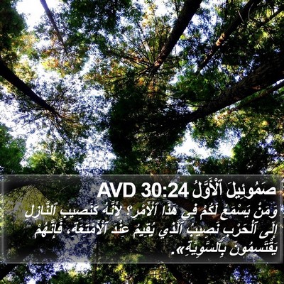 صَمُوئِيلَ ٱلْأَوَّلُ 30:24 AVD Bible Verse Image