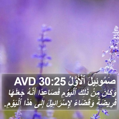 صَمُوئِيلَ ٱلْأَوَّلُ 30:25 AVD Bible Verse Image