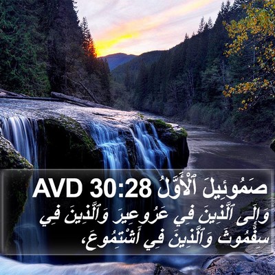 صَمُوئِيلَ ٱلْأَوَّلُ 30:28 AVD Bible Verse Image