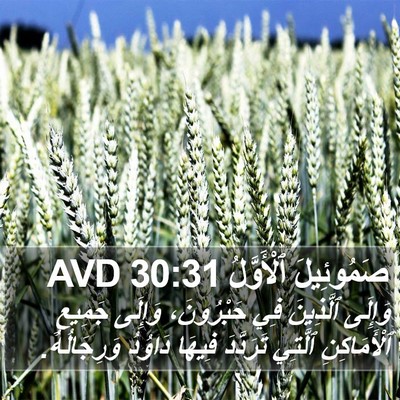 صَمُوئِيلَ ٱلْأَوَّلُ 30:31 AVD Bible Verse Image