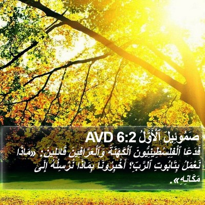 صَمُوئِيلَ ٱلْأَوَّلُ 6:2 AVD Bible Verse Image