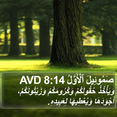 صَمُوئِيلَ ٱلْأَوَّلُ 8:14 AVD Bible Verse Image