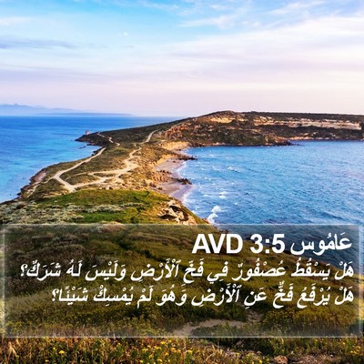 عَامُوس 3:5 AVD Bible Verse Image