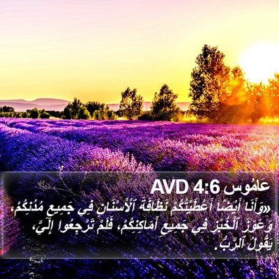 عَامُوس 4:6 AVD Bible Verse Image