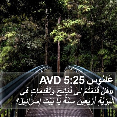 عَامُوس 5:25 AVD Bible Verse Image
