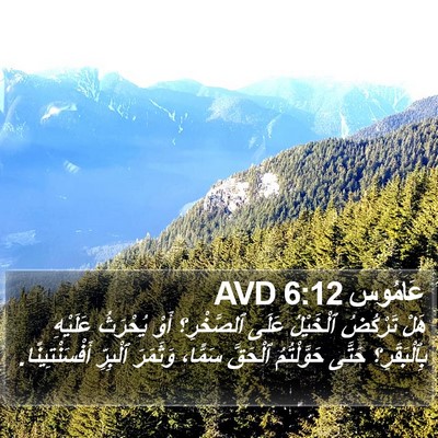 عَامُوس 6:12 AVD Bible Verse Image