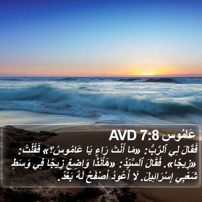 عَامُوس 7:8 AVD Bible Verse Image