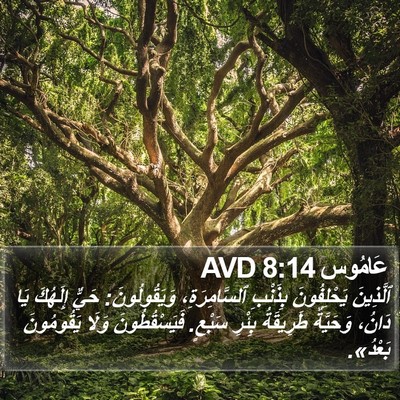 عَامُوس 8:14 AVD Bible Verse Image