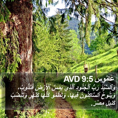 عَامُوس 9:5 AVD Bible Verse Image
