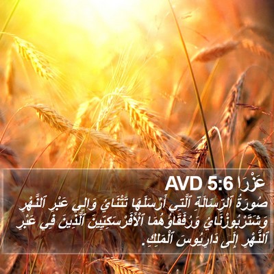 عَزْرَا 5:6 AVD Bible Verse Image