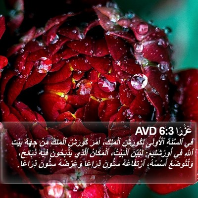 عَزْرَا 6:3 AVD Bible Verse Image