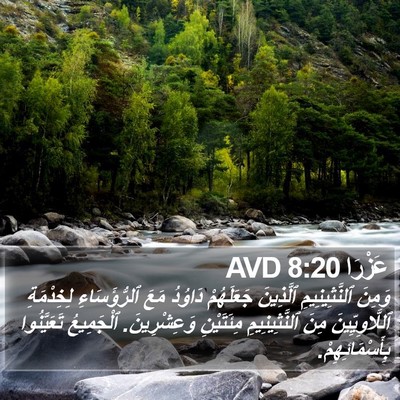 عَزْرَا 8:20 AVD Bible Verse Image