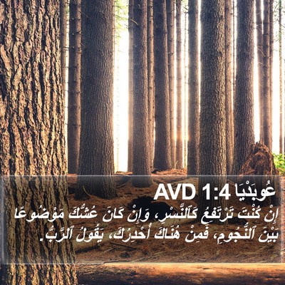 عُوبَدْيَا 1:4 AVD Bible Verse Image