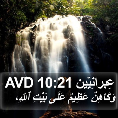عِبرانِيّين 10:21 AVD Bible Verse Image