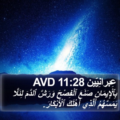 عِبرانِيّين 11:28 AVD Bible Verse Image