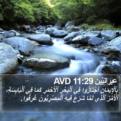 عِبرانِيّين 11:29 AVD Bible Verse Image