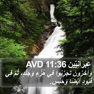 عِبرانِيّين 11:36 AVD Bible Verse Image