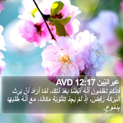 عِبرانِيّين 12:17 AVD Bible Verse Image