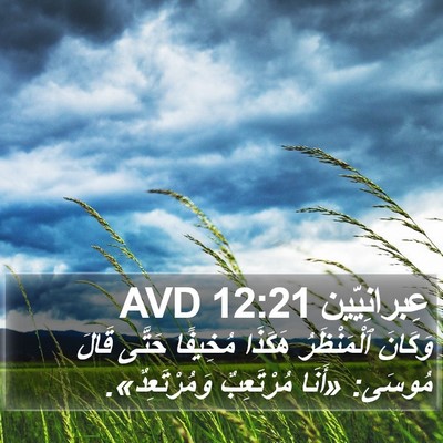 عِبرانِيّين 12:21 AVD Bible Verse Image