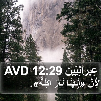 عِبرانِيّين 12:29 AVD Bible Verse Image