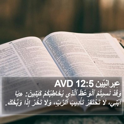 عِبرانِيّين 12:5 AVD Bible Verse Image
