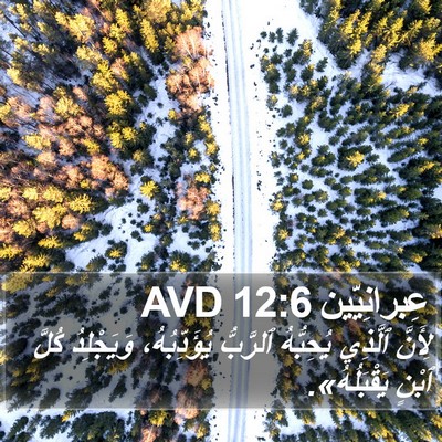 عِبرانِيّين 12:6 AVD Bible Verse Image