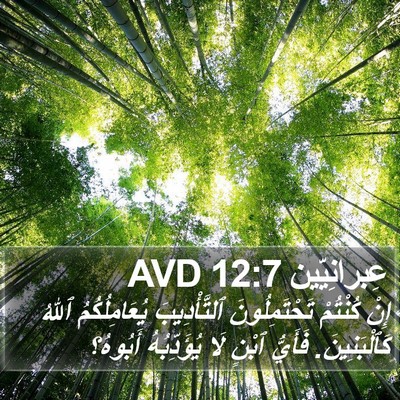 عِبرانِيّين 12:7 AVD Bible Verse Image