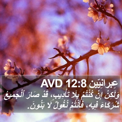 عِبرانِيّين 12:8 AVD Bible Verse Image