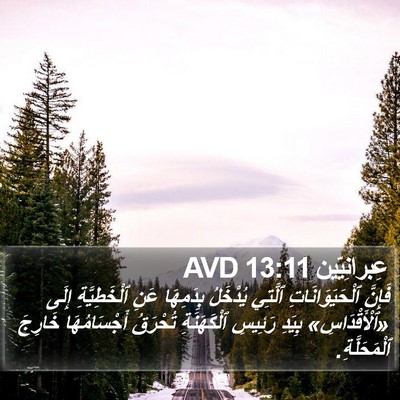 عِبرانِيّين 13:11 AVD Bible Verse Image