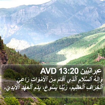 عِبرانِيّين 13:20 AVD Bible Verse Image