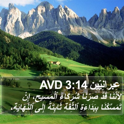 عِبرانِيّين 3:14 AVD Bible Verse Image