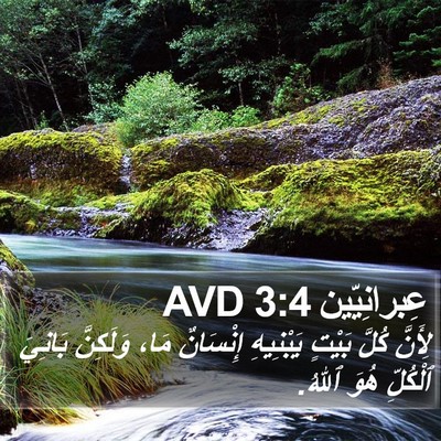 عِبرانِيّين 3:4 AVD Bible Verse Image