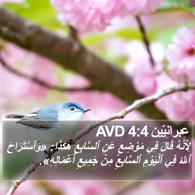 عِبرانِيّين 4:4 AVD Bible Verse Image