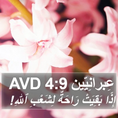 عِبرانِيّين 4:9 AVD Bible Verse Image