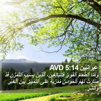 عِبرانِيّين 5:14 AVD Bible Verse Image