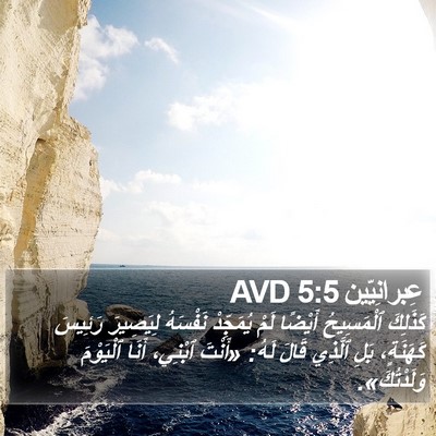 عِبرانِيّين 5:5 AVD Bible Verse Image