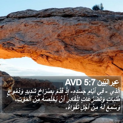 عِبرانِيّين 5:7 AVD Bible Verse Image