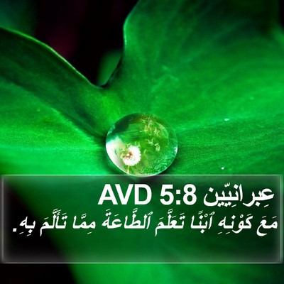 عِبرانِيّين 5:8 AVD Bible Verse Image