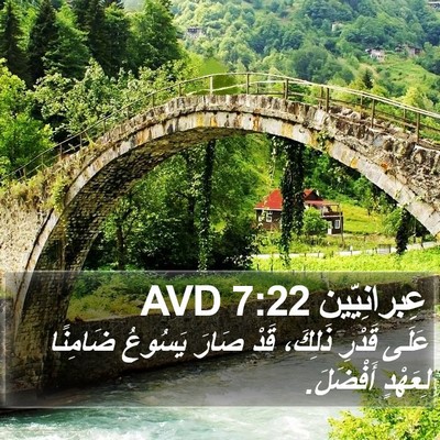 عِبرانِيّين 7:22 AVD Bible Verse Image