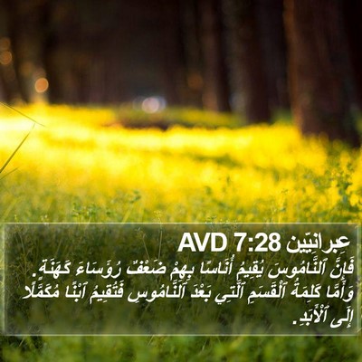 عِبرانِيّين 7:28 AVD Bible Verse Image