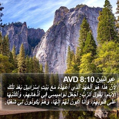 عِبرانِيّين 8:10 AVD Bible Verse Image