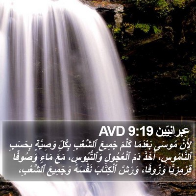 عِبرانِيّين 9:19 AVD Bible Verse Image